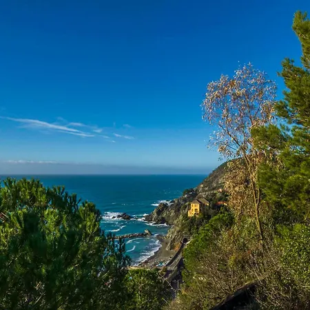 Sunshine Front * Levanto